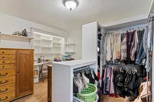 Walk-in Primary Closet (Former Bedroom)
