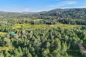 View of mountain background featuring a forest
