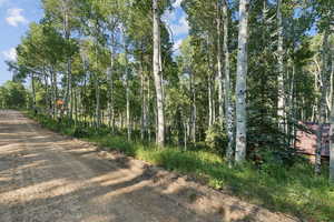 View of dirt / gravel road