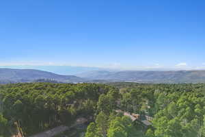 View of mountain backdrop with a heavily wooded area