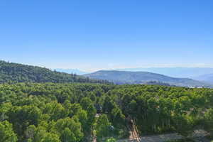 Mountain view featuring a forest