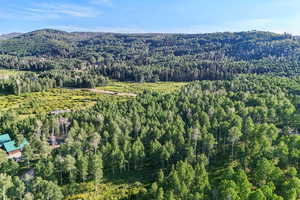 View of mountain background featuring a heavily wooded area