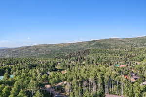 Drone / aerial view of mountains and a forest