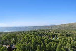 View of mountain backdrop featuring a heavily wooded area
