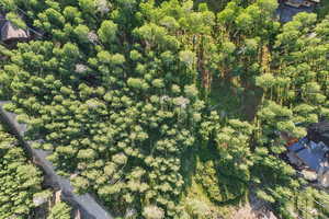 Aerial view of property's location with a forest