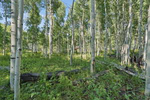 View of undeveloped land