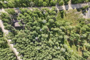 Bird's eye view of a heavily wooded area