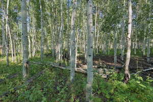 View of undeveloped land