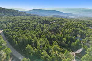 Mountain view with a forest