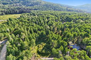 Aerial view of a heavily wooded area and a mountain backdrop
