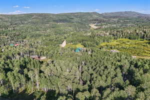 View of property location featuring a heavily wooded area and a mountainous background