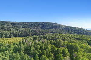 View of mountain background with a forest