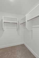 Walk in closet with carpet
