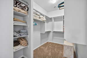 Spacious closet featuring carpet floors