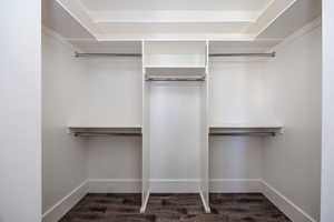 Spacious closet featuring dark wood finished floors