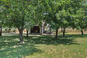 View of grassy yard