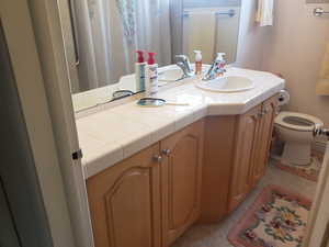 Full bathroom featuring toilet and vanity