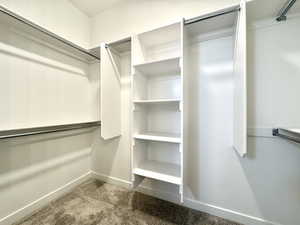 Walk in closet featuring carpet floors