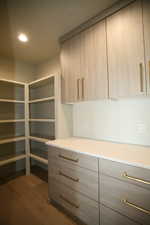 Walk in Pantry with storage and appliance center