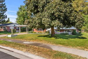 View of front of home featuring brick siding and a front lawn