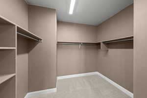 Spacious closet featuring light carpet