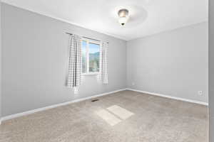 Spare room featuring carpet and a ceiling fan