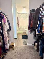Spacious closet with carpet and wood finished floors