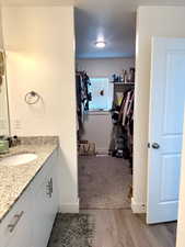 Bathroom featuring vanity, a spacious closet, and wood finished floors