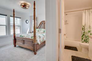 Bedroom featuring carpet and connected bathroom