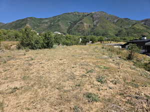 View of mountain backdrop