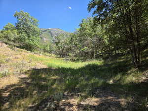 View of mountain background