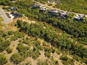 Aerial view of property and surrounding area featuring property boundaries highlighted and a heavily wooded area