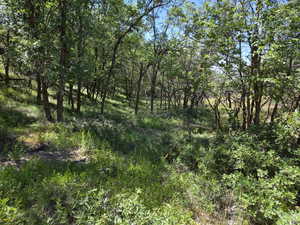 View of undeveloped land