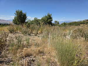 View of local wilderness featuring a mountainous background