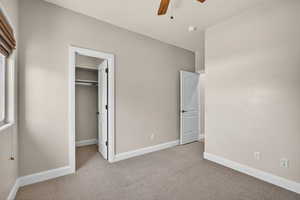 Unfurnished bedroom with carpet floors, a spacious closet, and ceiling fan