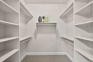 Walk in closet featuring carpet