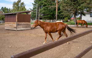 View of stable