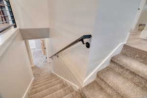 Staircase featuring carpet floors and baseboards