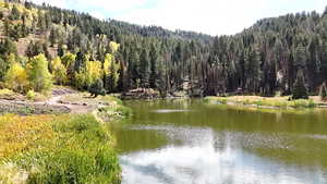 Water view with a heavily wooded area