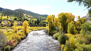 View of community featuring a water and mountain view and a view of trees