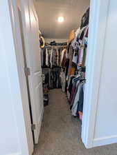 Walk in closet with carpet floors