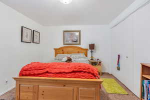 Bedroom with light carpet