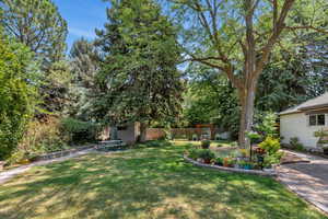 View of yard with an outdoor structure and a patio