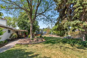 View of grassy yard with a patio