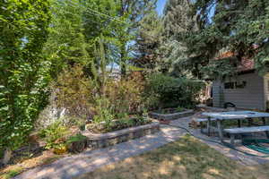 View of yard featuring a patio area