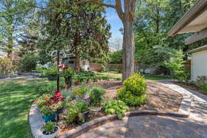 View of fenced backyard