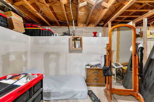 View of unfinished basement