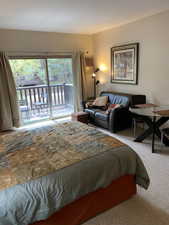 Carpeted bedroom featuring access to exterior