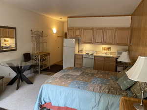 Carpeted bedroom featuring freestanding refrigerator and a sink