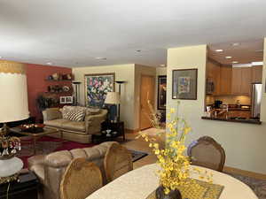 Living area featuring recessed lighting and wood finished floors